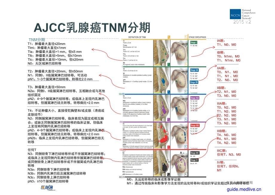 乳腺癌2015年NCCN中文版_第5页