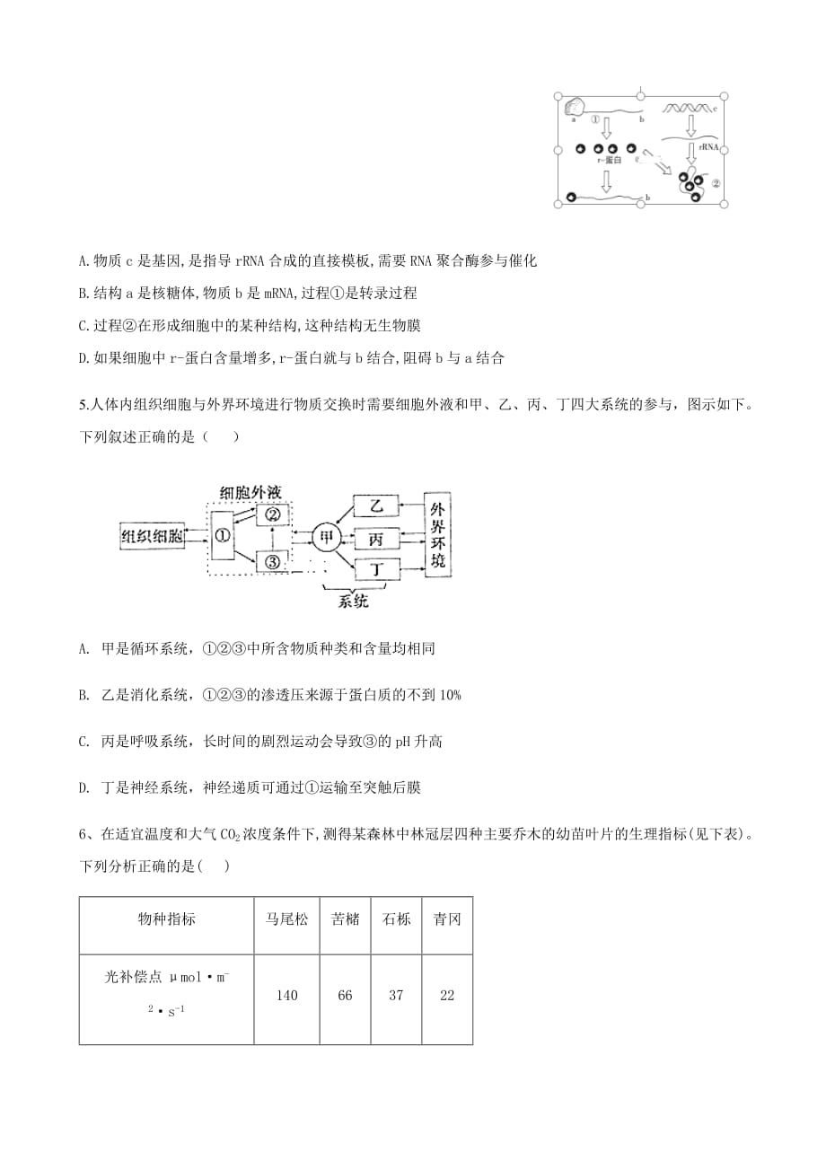 河北省衡水中学2019—2020学年度高三下学期理综测试 生物试题_第2页