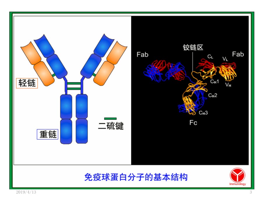 蛋白电泳轻链病课件ppt_第3页