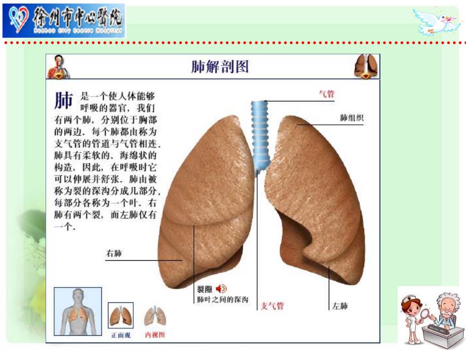 肺全切护理完整完整ppt课件_第4页