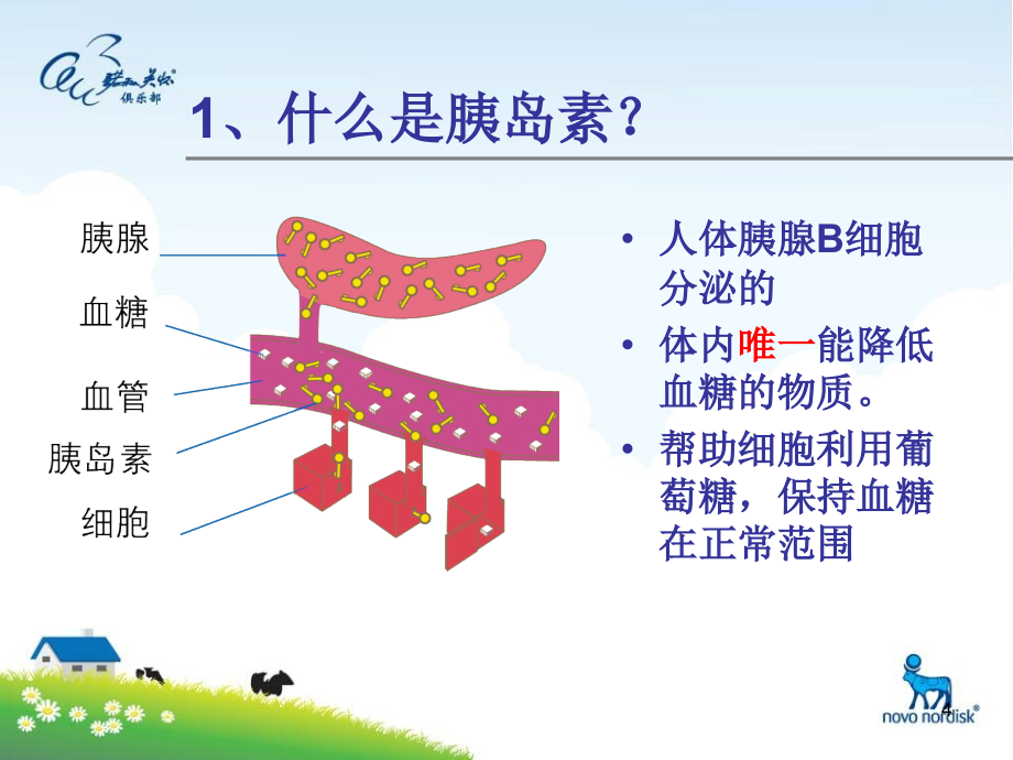 糖尿病的药物治疗及护理课件ppt_第4页