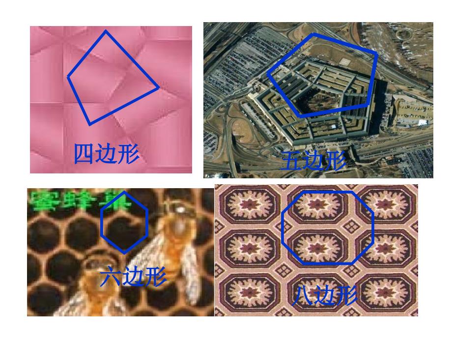 新人教版七年下胜利学校《7.3多边形及其内角和(多边形)》ppt课件_第3页