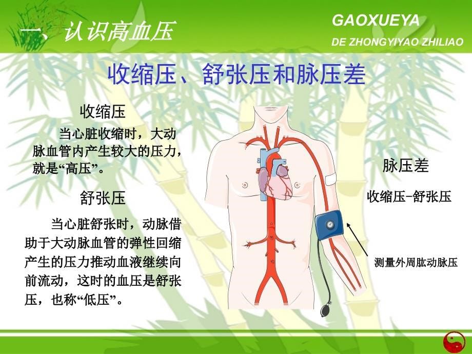 高血压中医辩证防治课件ppt_第5页