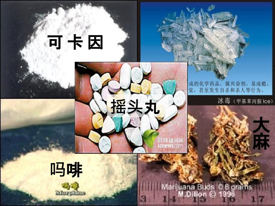 禁毒教育主题班会《珍爱生命-远离毒品-》1完整ppt课件_第3页