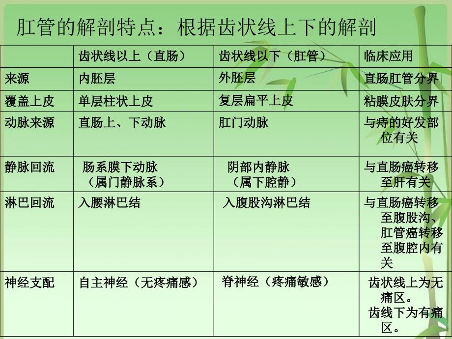 痔疮ppt课件课件ppt_第4页