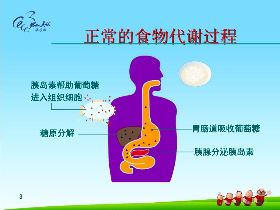 糖尿病健康知识讲座课件ppt_第3页