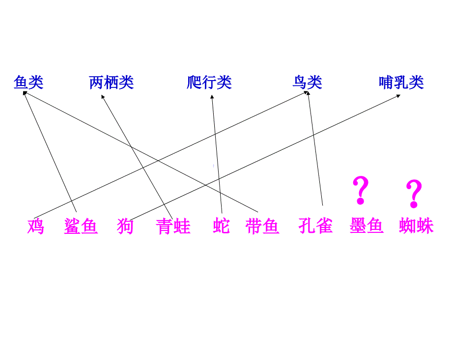 无脊椎动物课件修改1_第2页