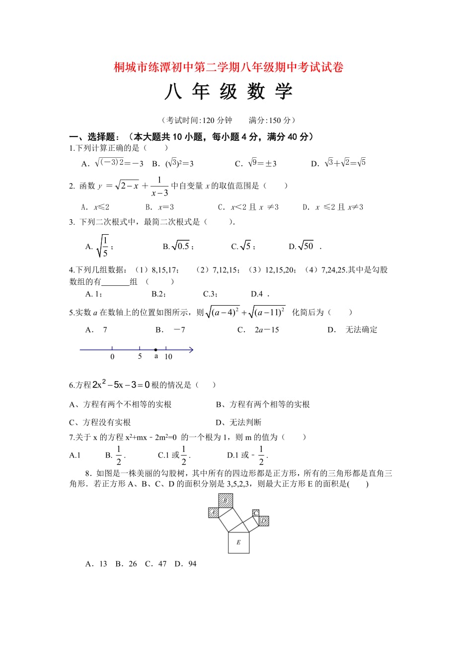 桐城市练潭初中第二学期八年级期中考试试卷_第1页