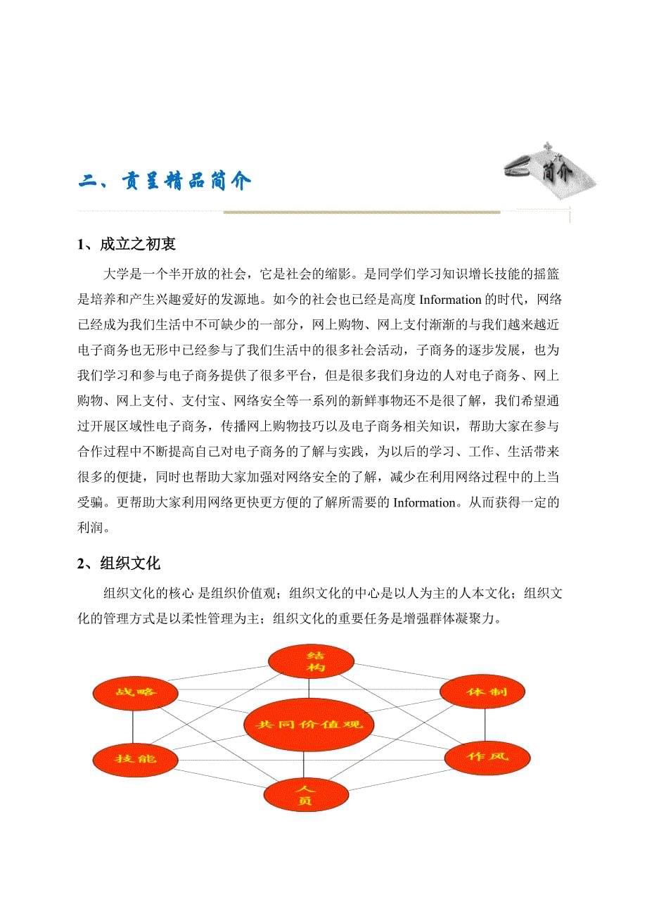 《精编》淘宝网店网络营销策划书_第5页