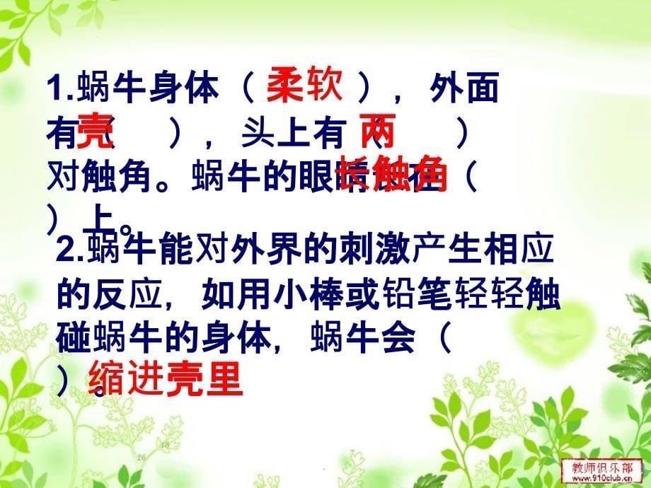 教科版三年级科学上册第二单元《动物》总结知识点复习1..ppt课件_第5页