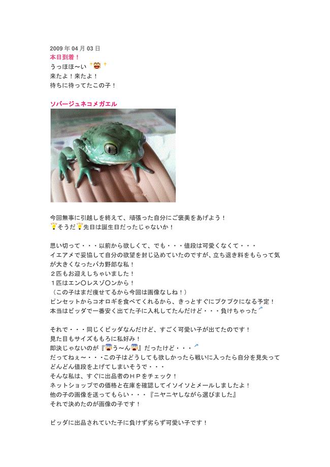 蜡白猴树蛙蝌蚪的饲养(日语)