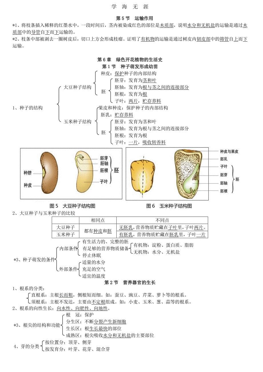 2020年整理北师大版中考生物复习提纲.pdf_第5页