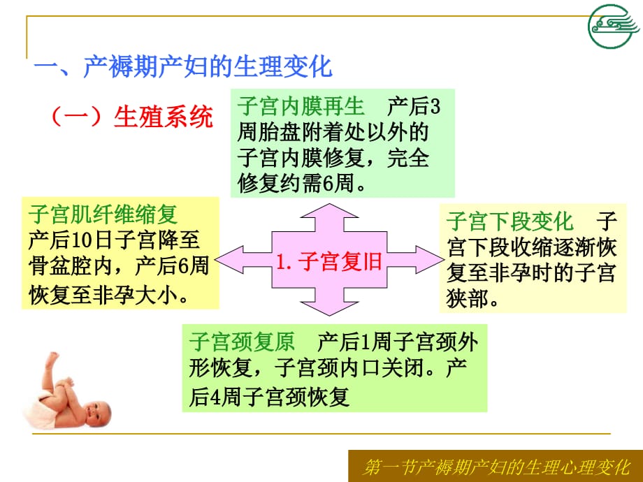 正常产褥期产妇的护理课件ppt_第3页