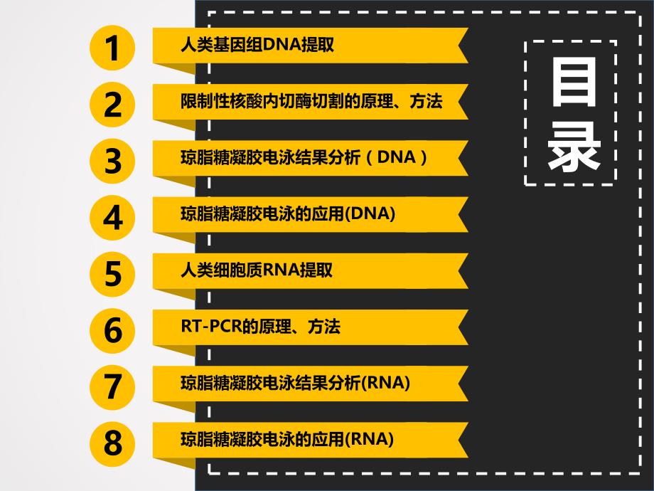 医用分子生物学 讨论课 基因组DNA提取 琼脂糖凝胶电泳 RNA提取.ppt_第2页