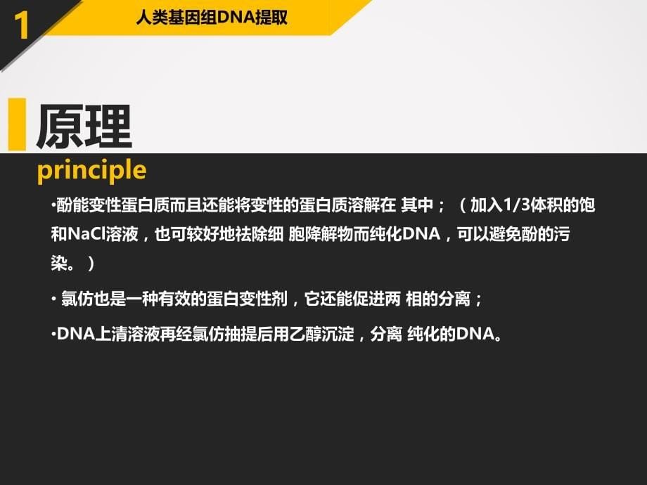 医用分子生物学 讨论课 基因组DNA提取 琼脂糖凝胶电泳 RNA提取.ppt_第5页