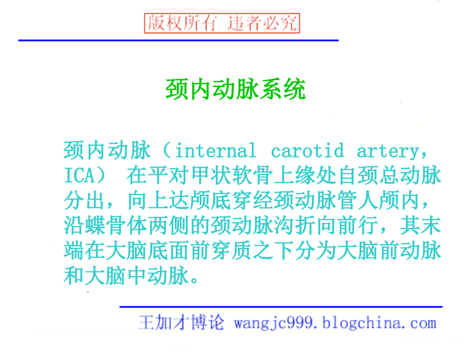 脑血管分段课件ppt_第2页