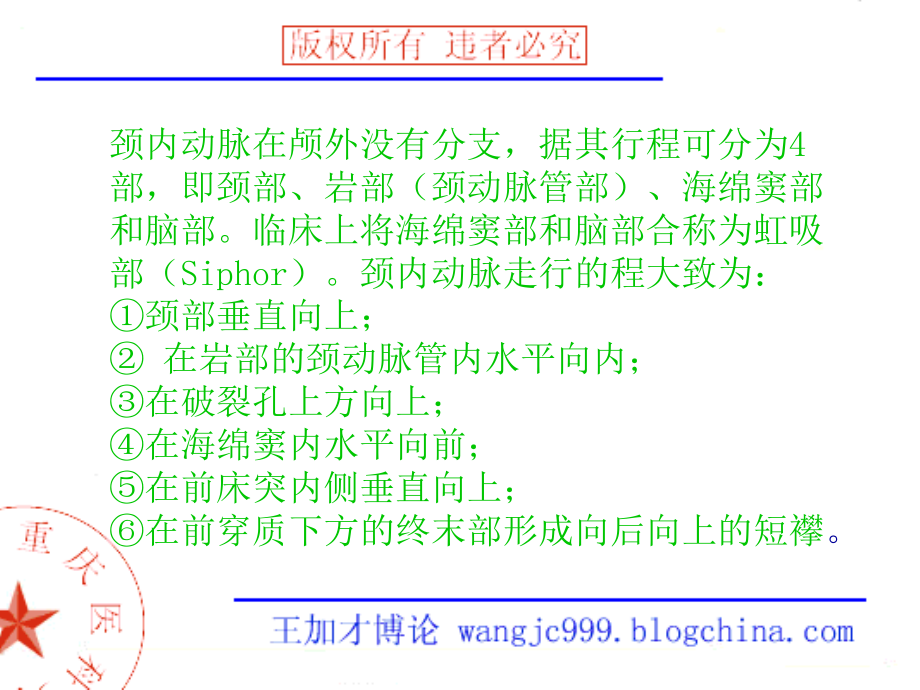 脑血管分段课件ppt_第3页