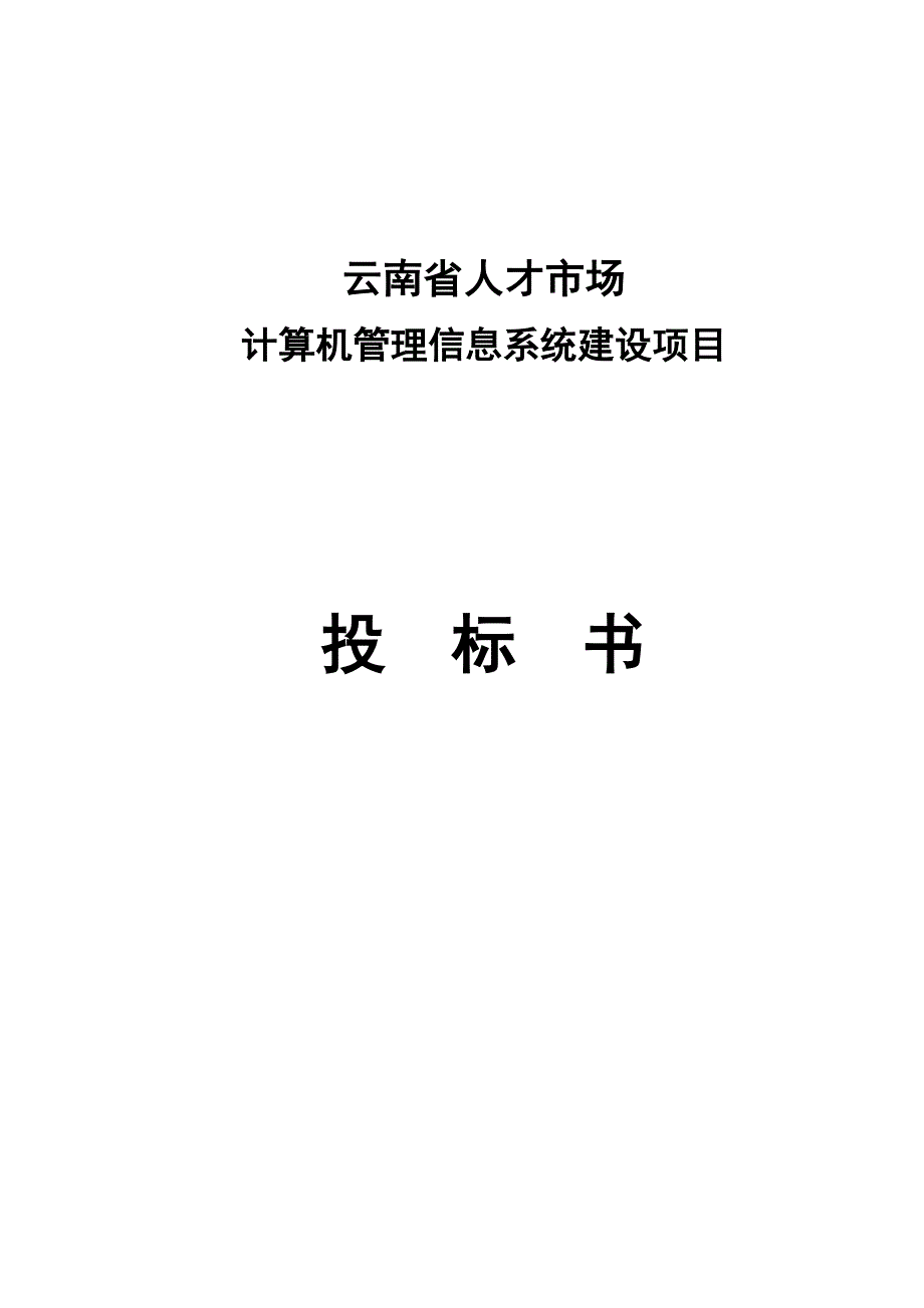 《精编》人才市场计算机管理信息系统建设项目投标书_第1页