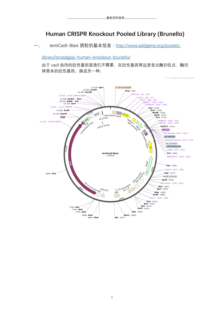 crispr cas9进行全基因组的筛选精编版_第1页