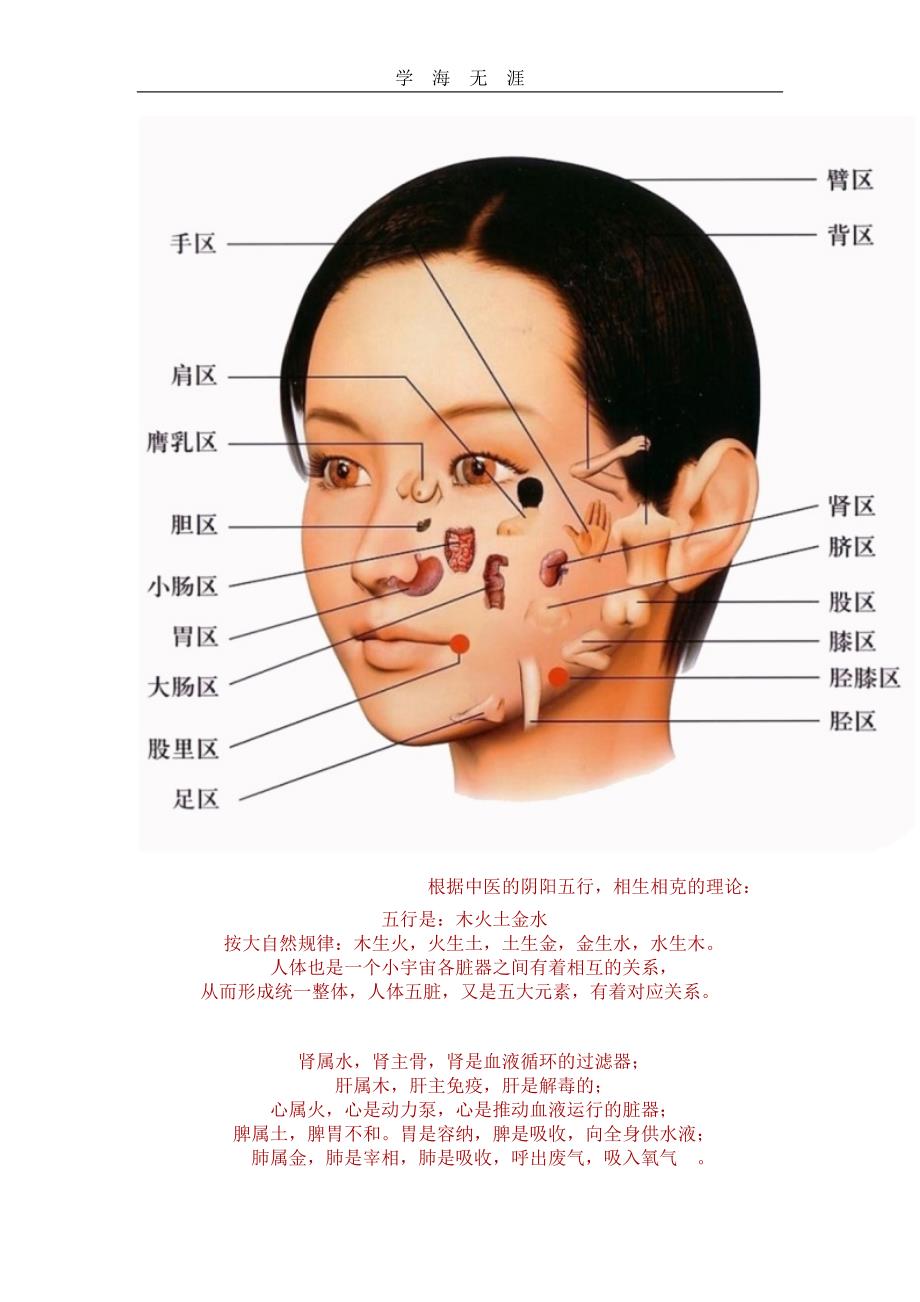 2020年整理脸面的五脏六腑对应图文word版.doc_第3页