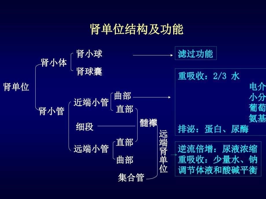 慢性肾功能不全PPT课件_第5页