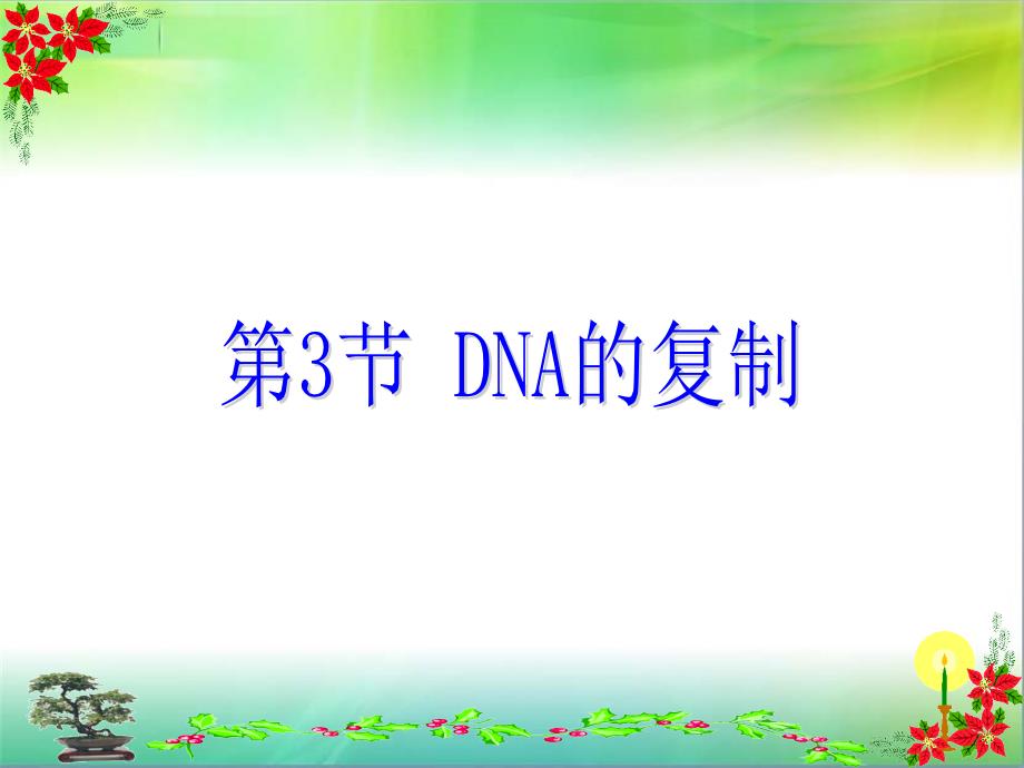 DNA的复制(动画)培训课件_第1页