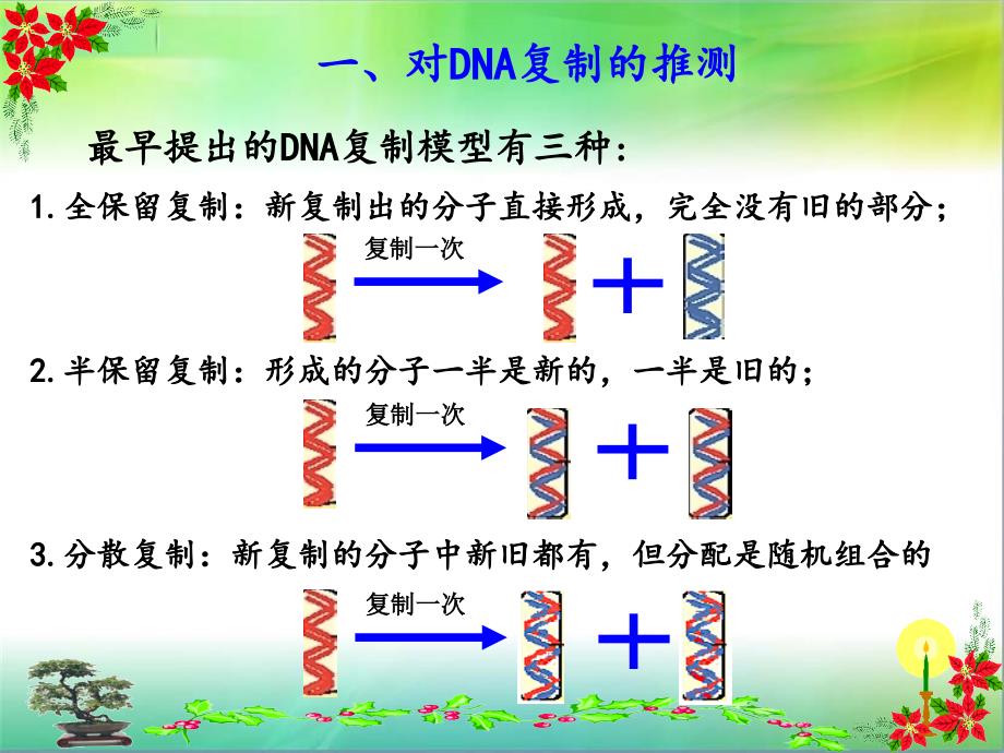 DNA的复制(动画)培训课件_第2页