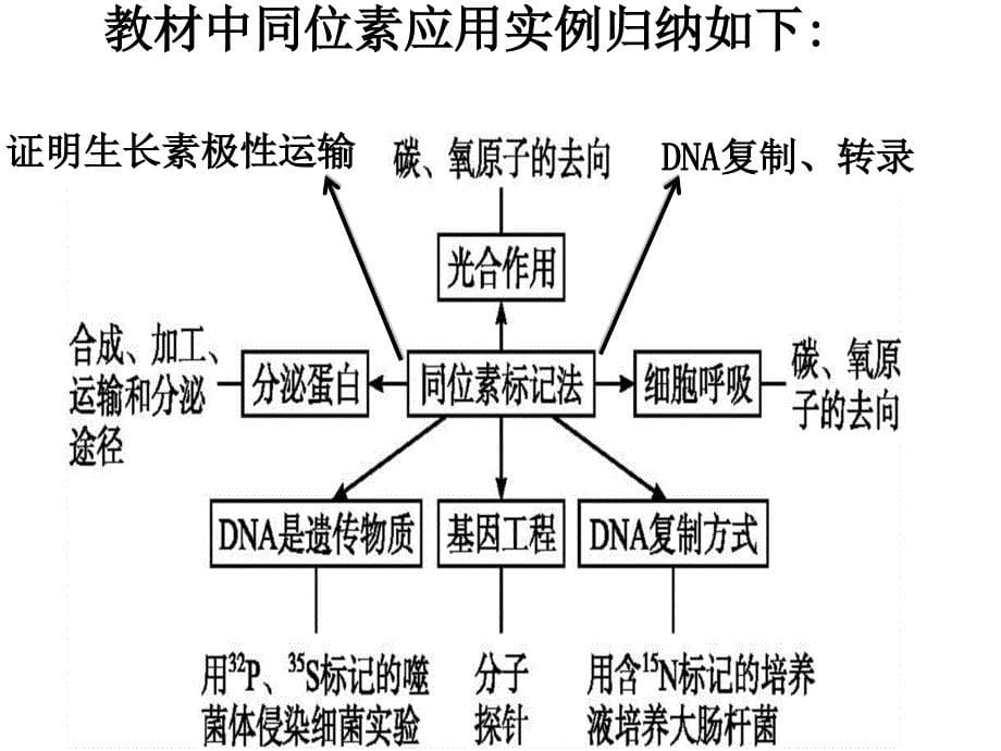 二轮复习专题细胞的分子组成与基本结构课件课件ppt_第5页