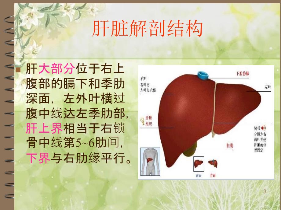 介绍原发性肝癌PPT演示课件_第3页