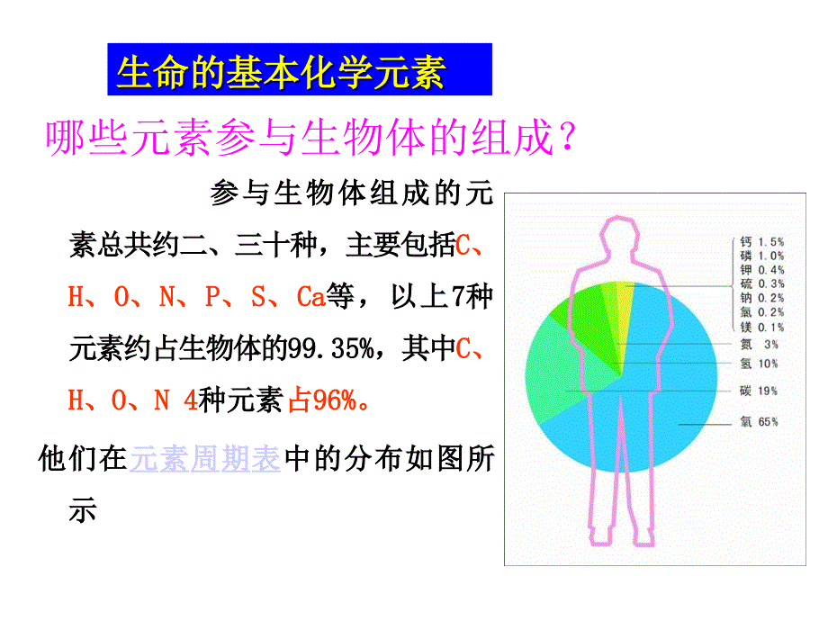 食品营养与安全第二讲、蛋白质和氨基酸课件ppt_第3页