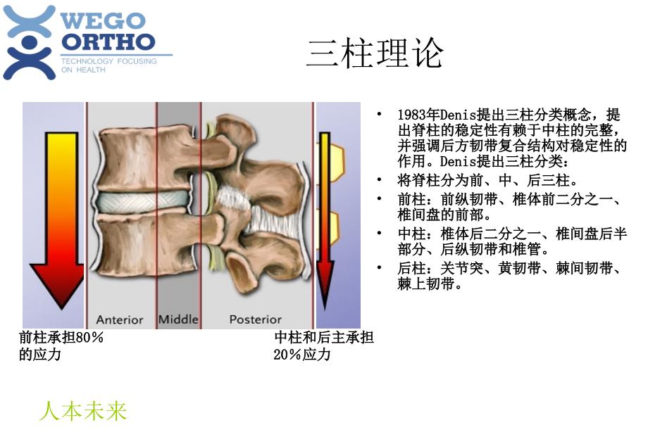 脊柱内固定原理介绍课件ppt_第3页