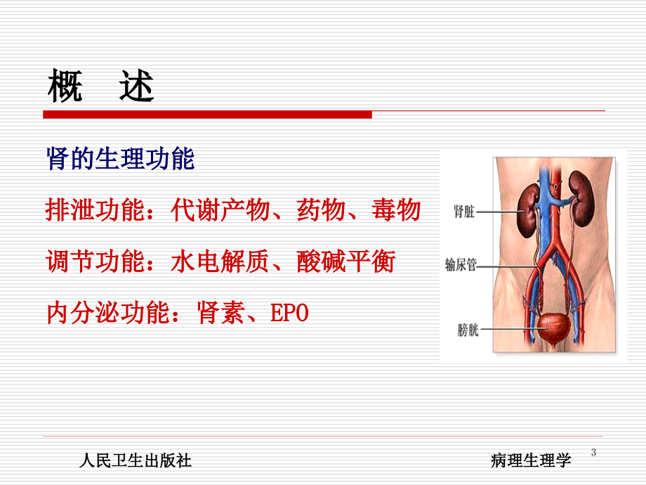 病理生理学肾功能不全素材课件ppt_第3页