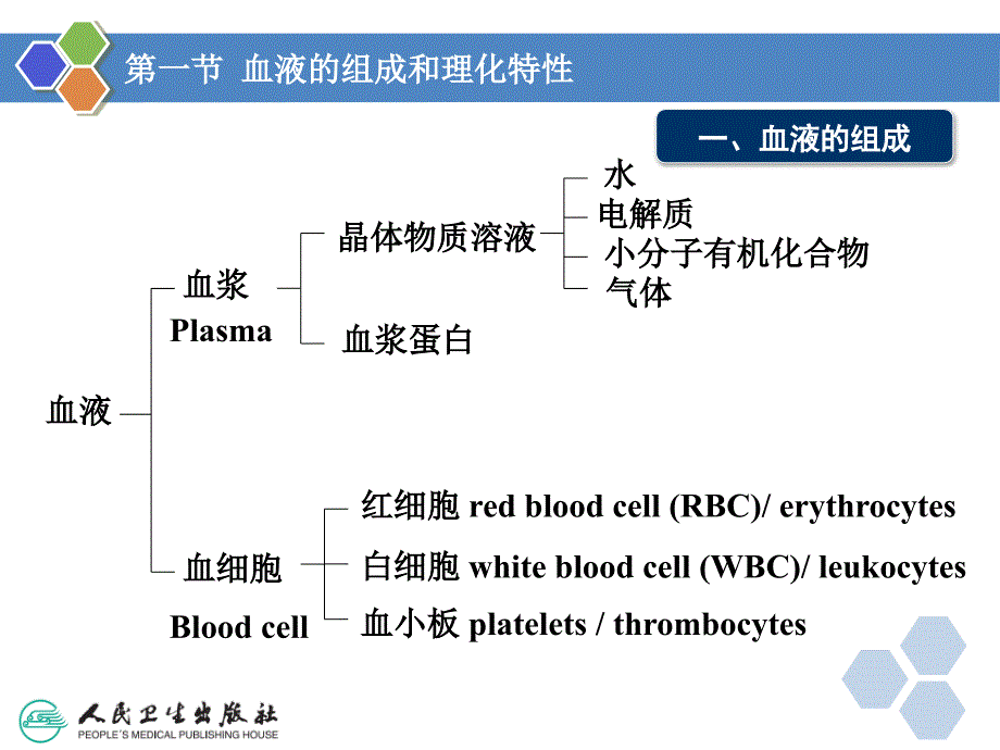 人卫版 生理学 第三章 血液.ppt_第4页