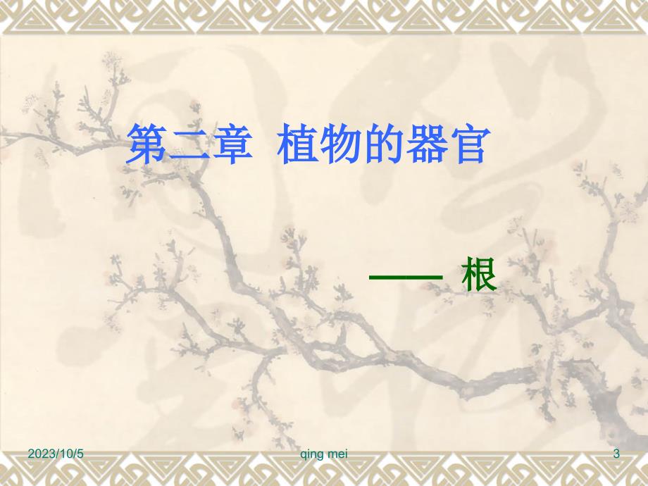 药用植物学与生药学04根.ppt_第3页