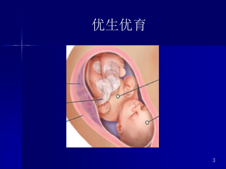 孕产妇保健分析课件ppt_第3页