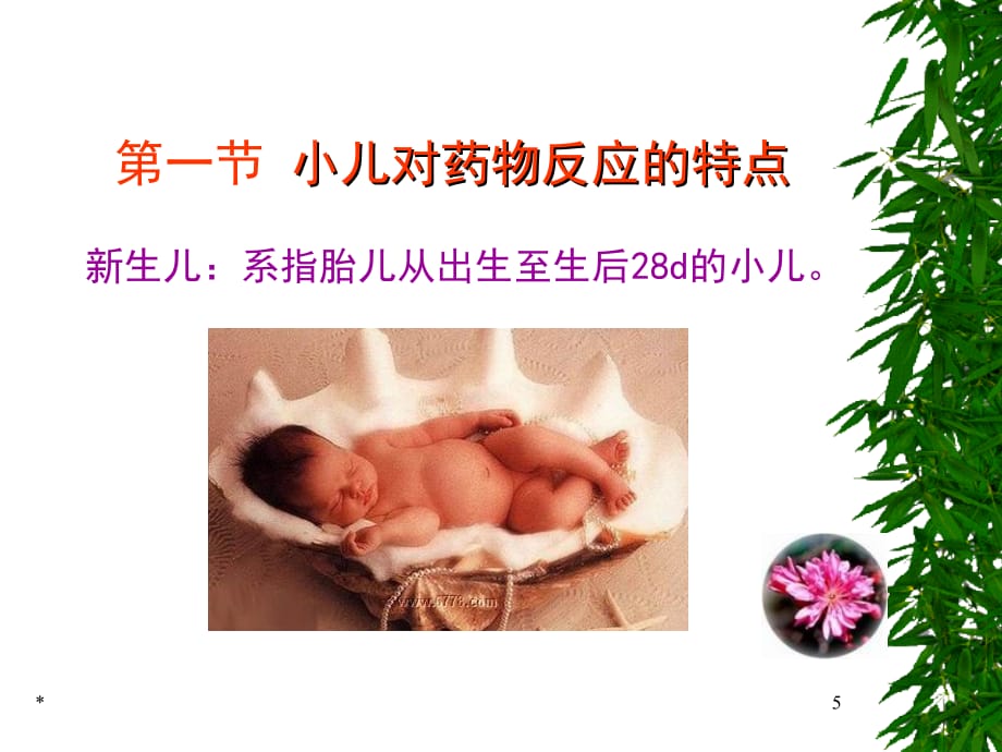 [中考]新生儿合理用药.ppt_第5页