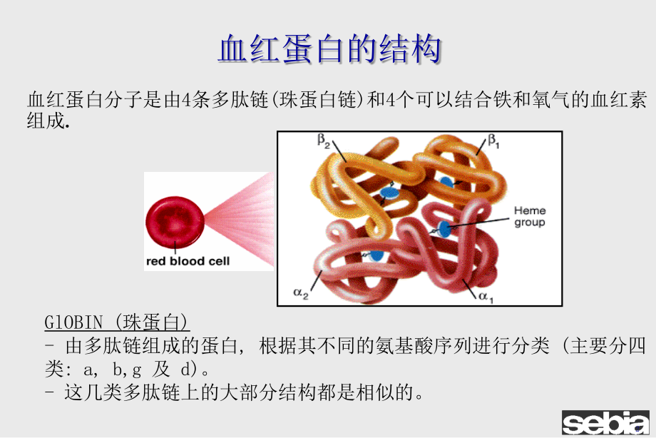 血红蛋白检测的临床意义课件ppt_第2页