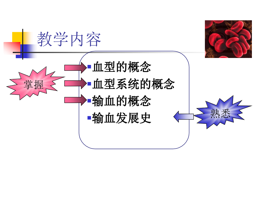 血型与输血临床检验基础课件ppt_第4页