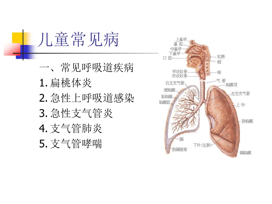 幼儿园健康教育传染病知识_第2页