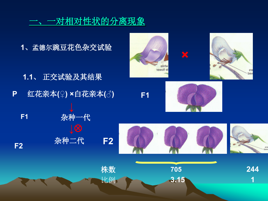 重大事故应急体系与预案编制.ppt_第3页