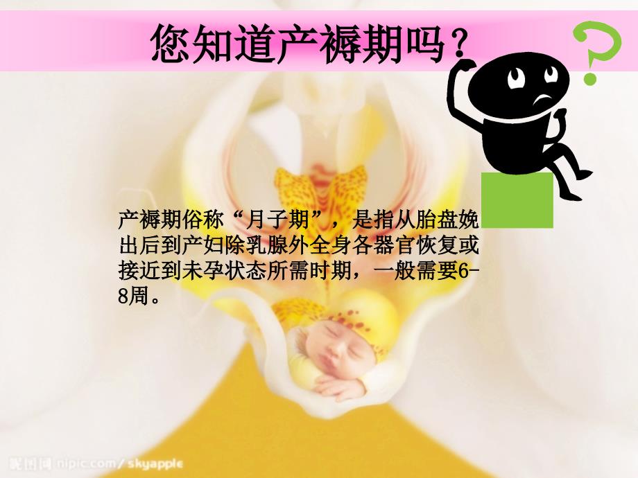 产褥期保健卡书——指导健康“坐月子”课件ppt_第2页