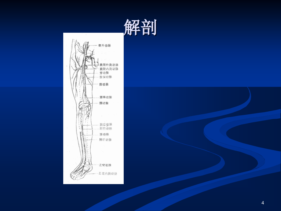 下肢动脉硬化闭塞症介入治疗PPT演示课件_第4页