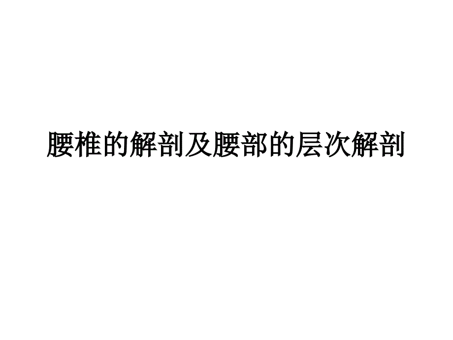 腰椎的解剖及腰部的层次解剖课件ppt_第1页