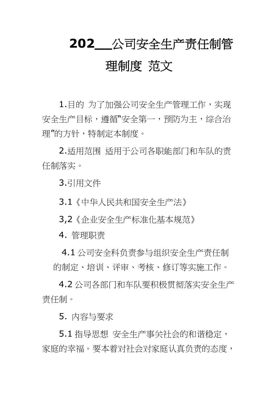 202__公司安全生产责任制管理制度 范文_第1页