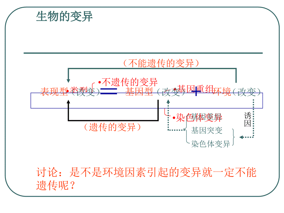 基因突变和基因重组课件ppt_第2页