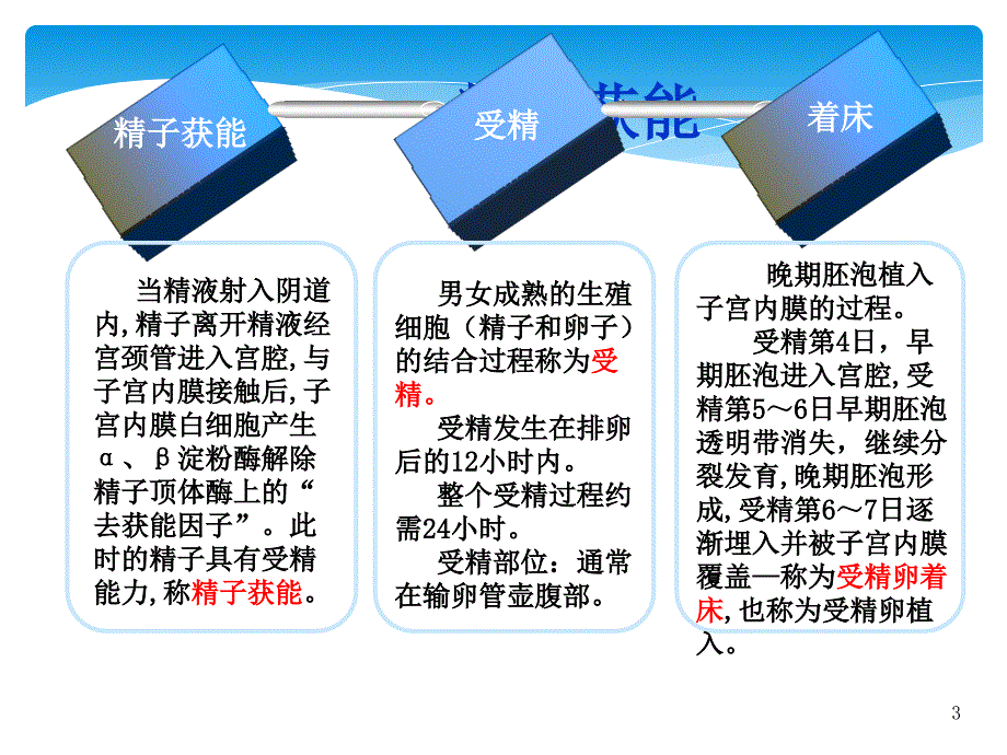 妊娠生理概述课件ppt_第3页