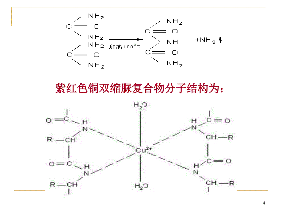 实验一 蛋白质及氨基酸的显色反应(验证)PPT演示课件_第4页