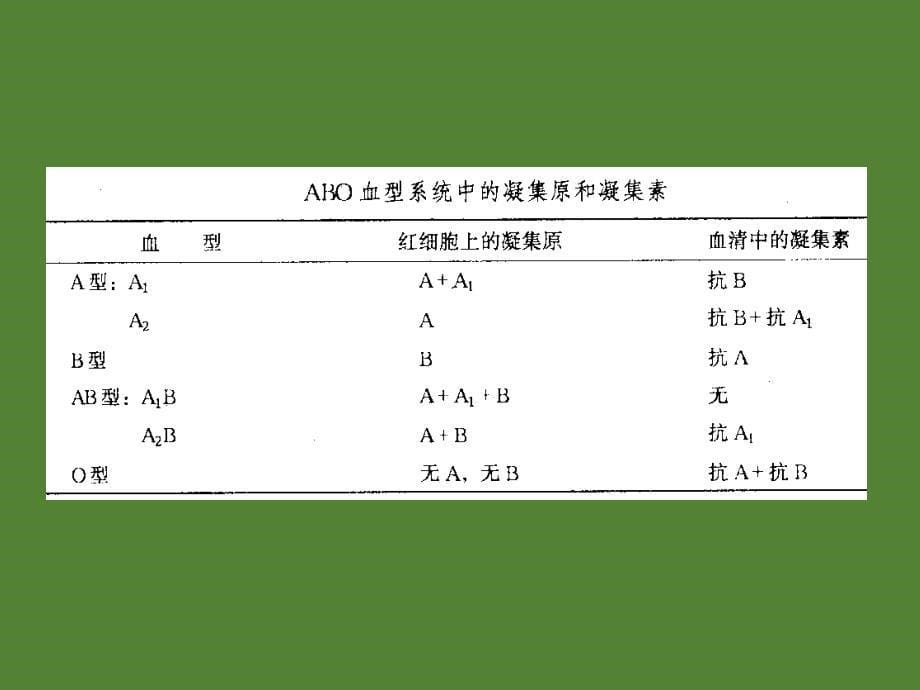 输血科培训资料课件ppt_第5页