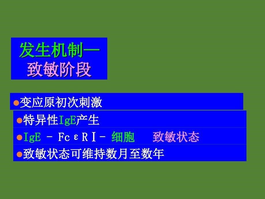 超敏反应免疫学应用课件ppt_第5页