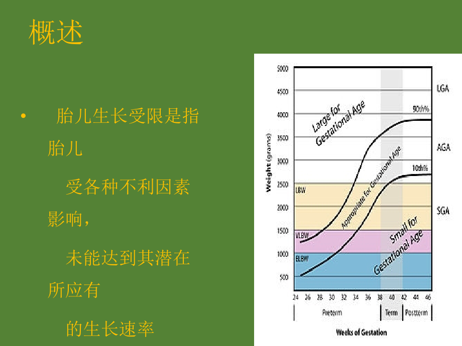 胎儿发育异常及死胎课件ppt_第4页